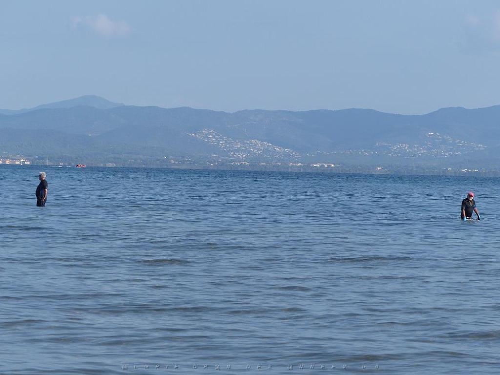 183 D19 PRESQU ILE DE GIENS 2_000008.jpg